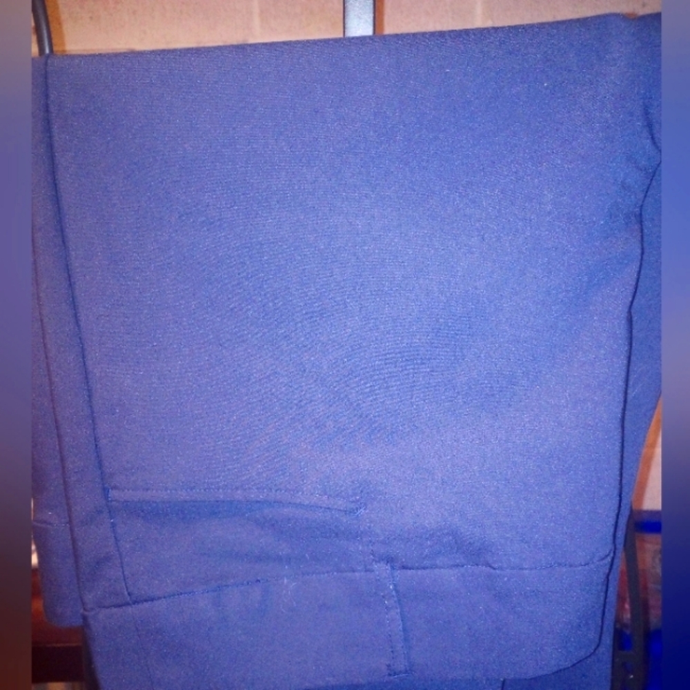 Pure Energy size 24w pants/ Target